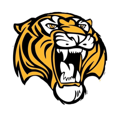 hamilton tiger fb.jpg