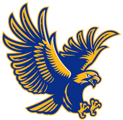 Channelview Falcon logo.jpg